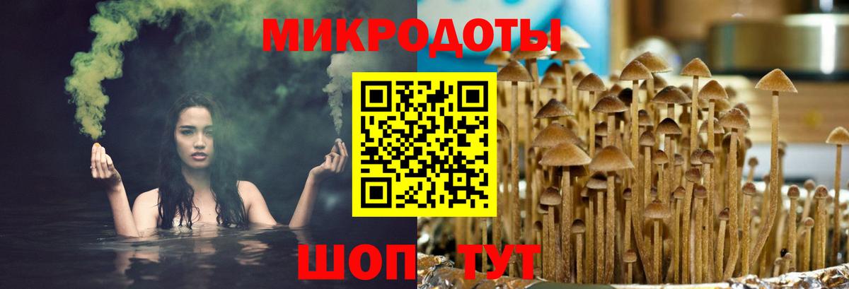 Салехард  Псилоцибиновые грибы мицелий  Вход с VPN  Галлюциногенные грибы Magic Shrooms 